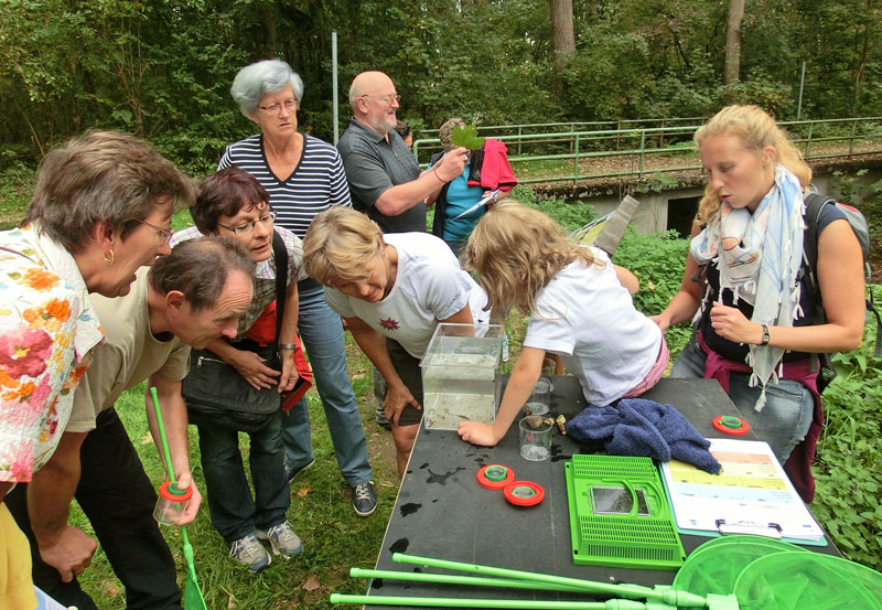 Interessante Erforschung unserer heimischen Natur