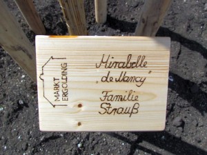 Baumpflanzaktion2015_002